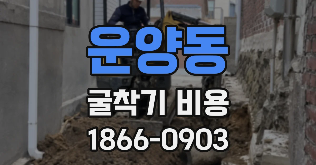 운양동 굴착기 비용