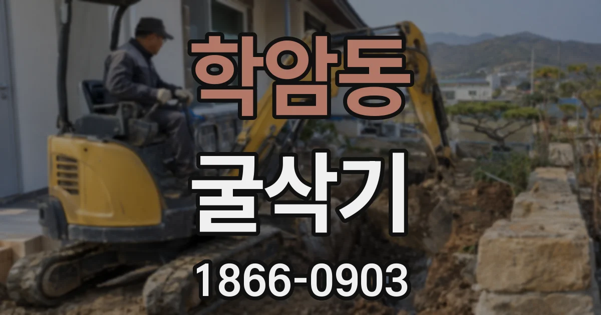 학암동 굴삭기