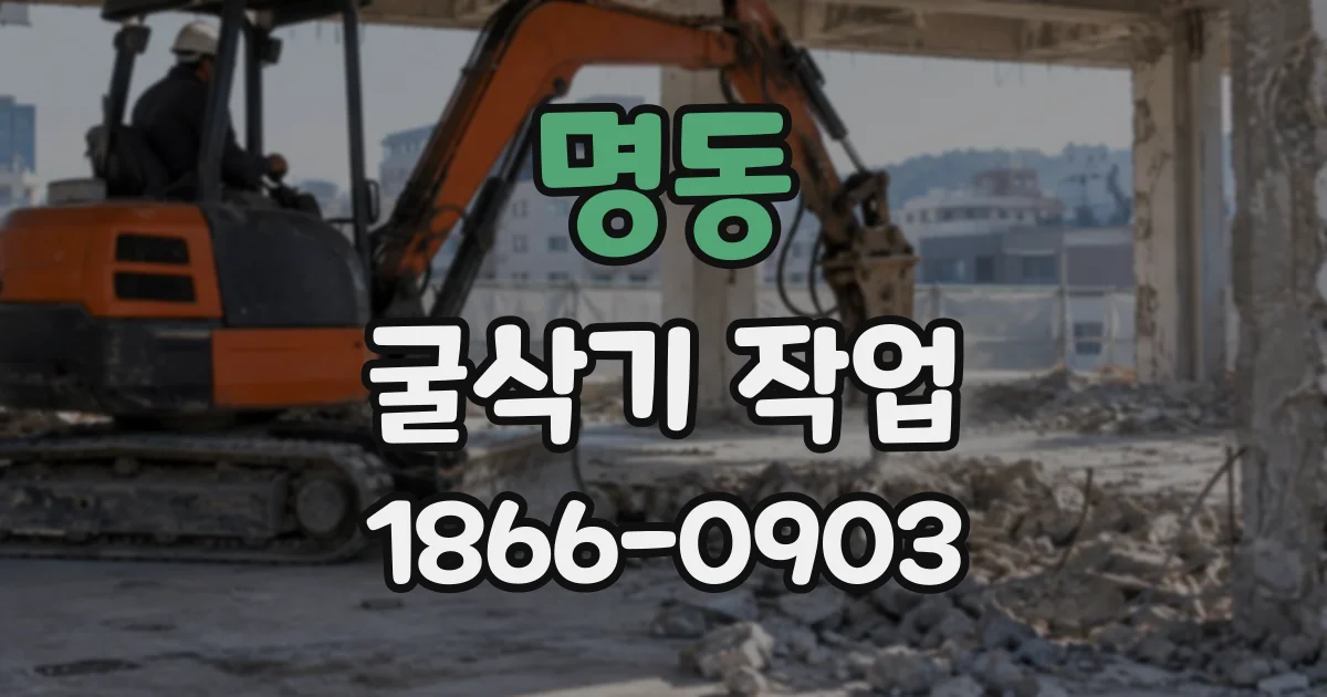 명동 굴삭기작업