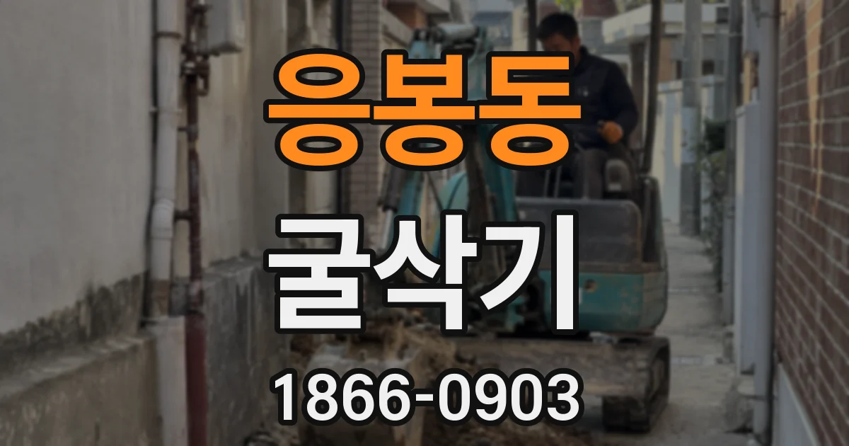 응봉동 굴삭기