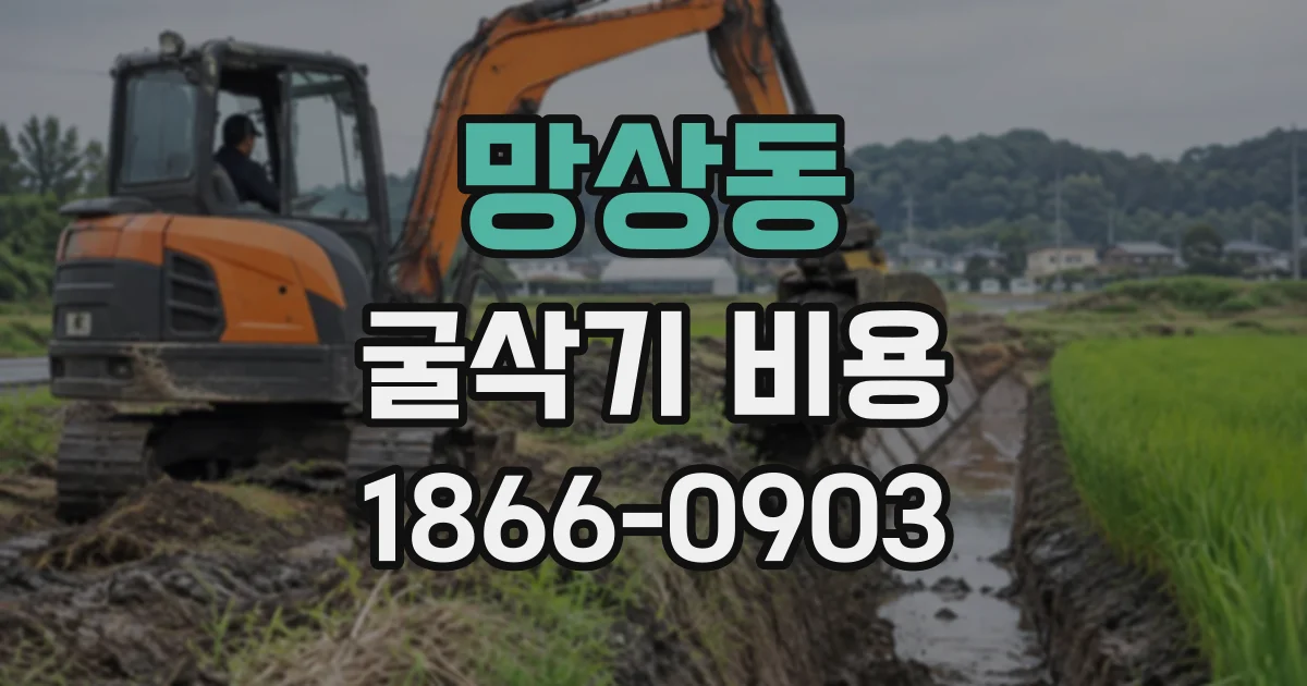 망상동 굴삭기비용