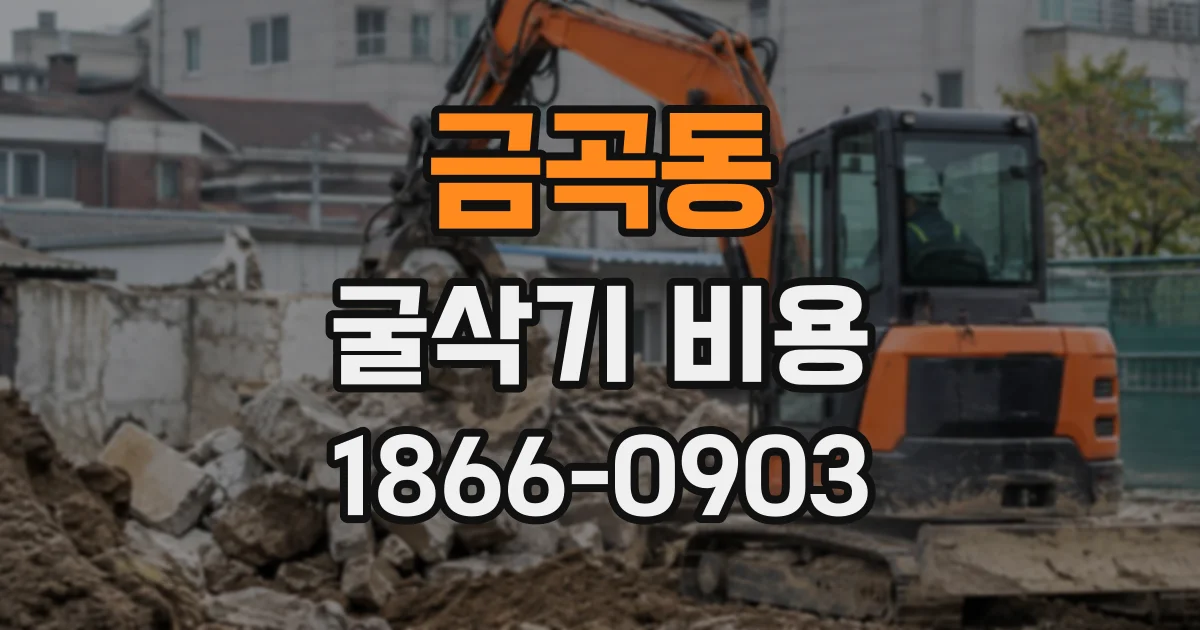 금곡동 굴삭기비용