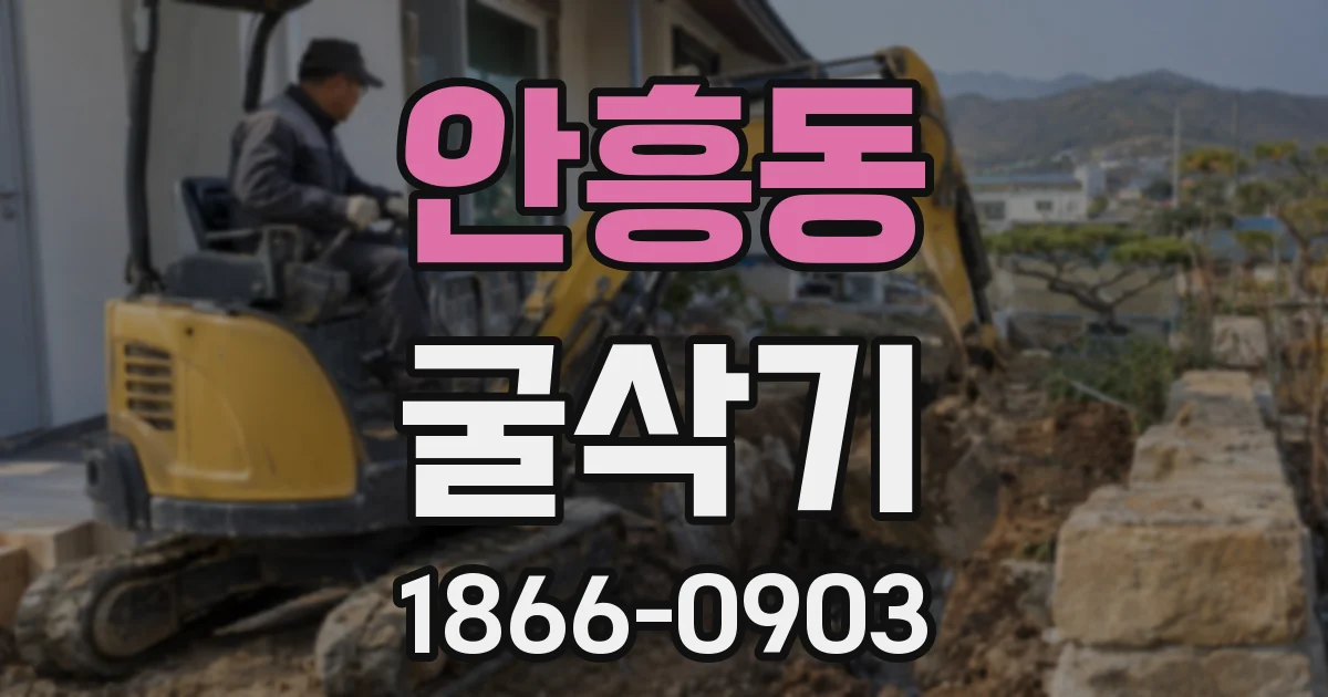 안흥동 굴삭기
