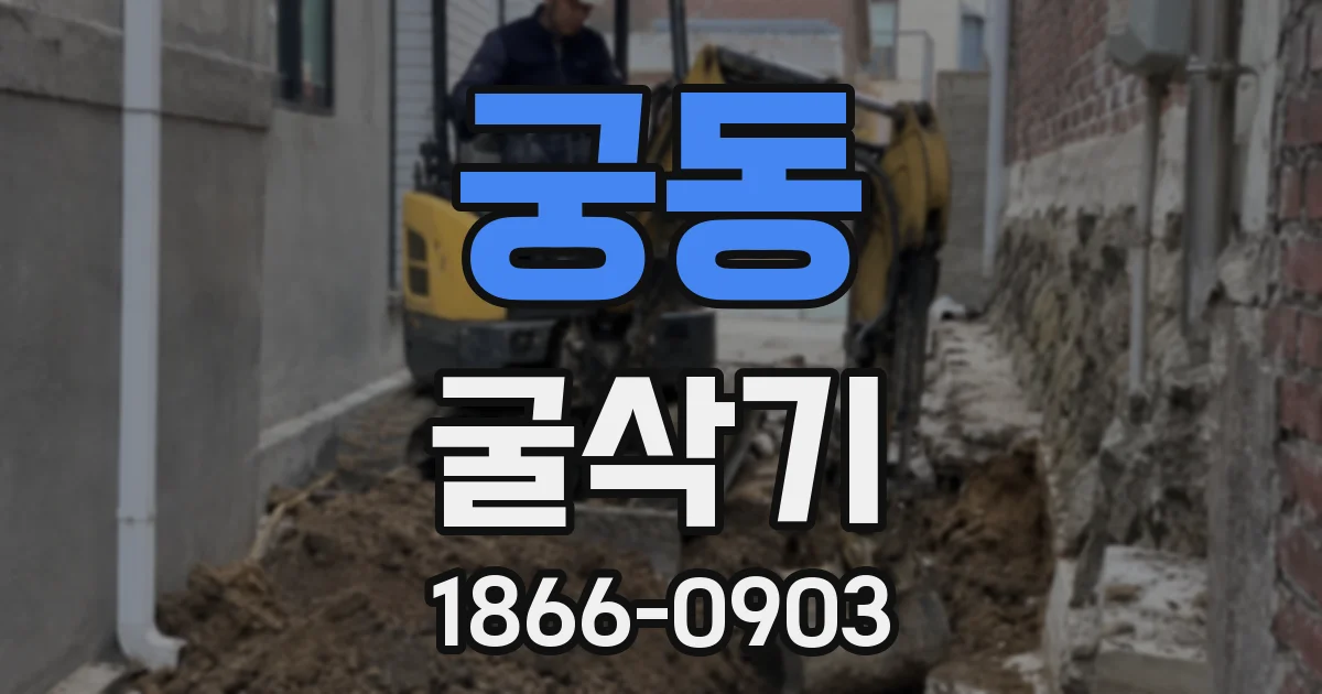 궁동 굴삭기
