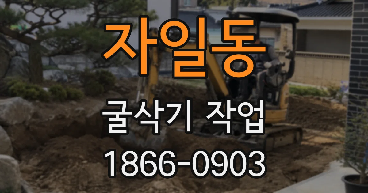 자일동 굴삭기 작업