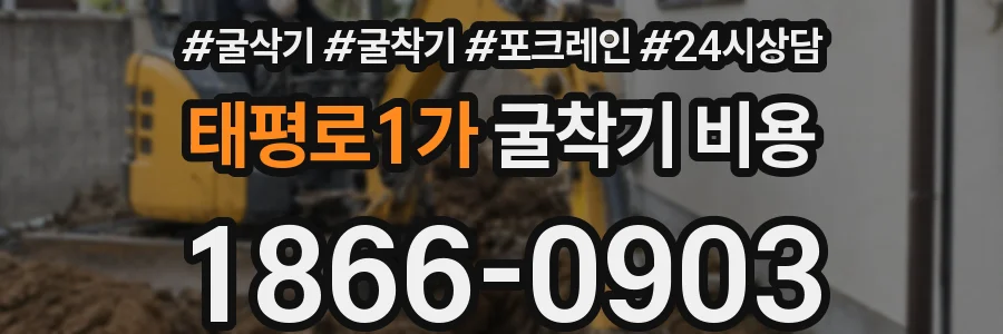 태평로1가 굴착기 비용