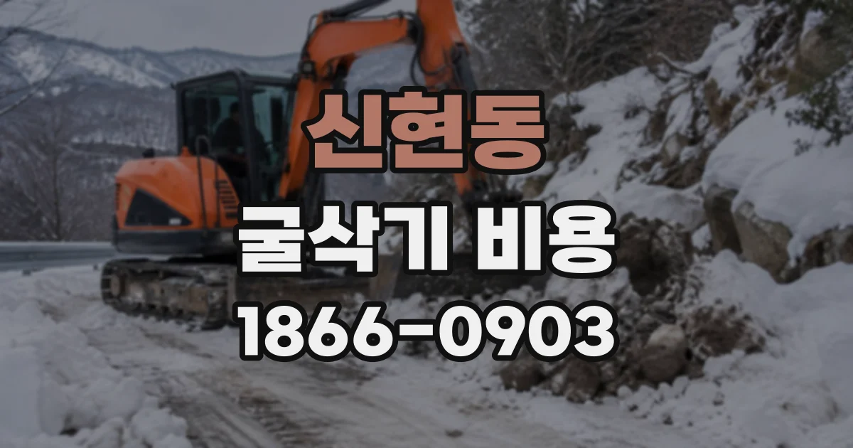 신현동 굴삭기비용