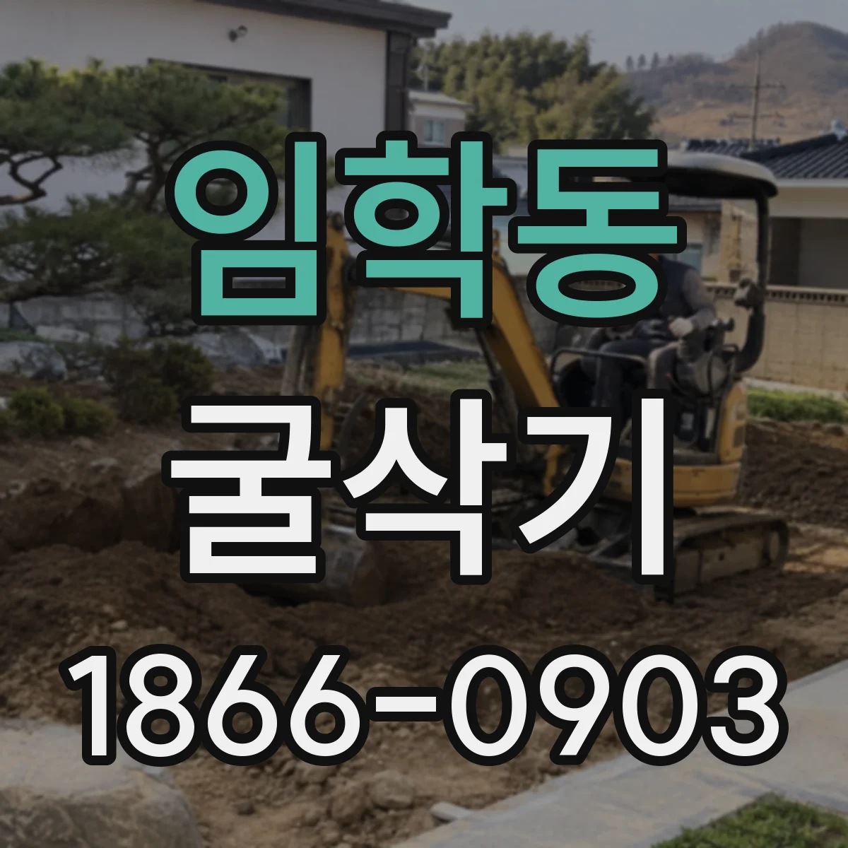 임학동 굴삭기
