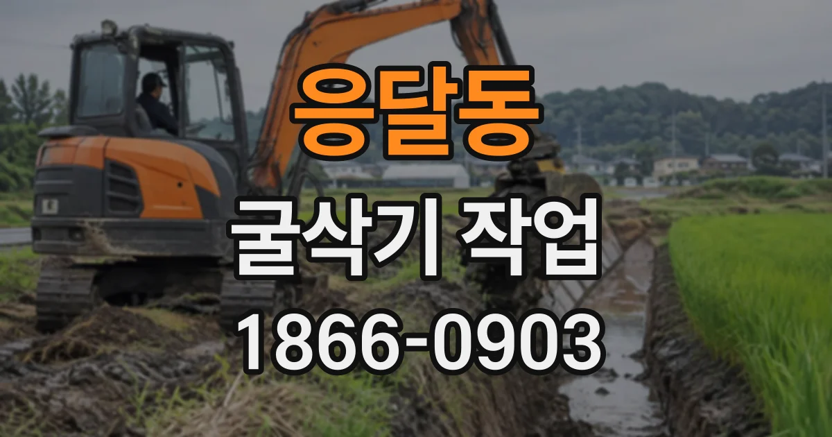응달동 굴삭기작업