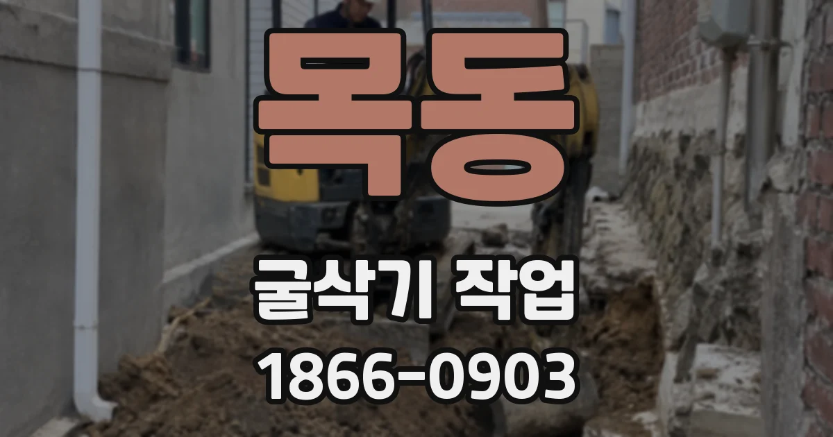 목동 굴삭기 작업