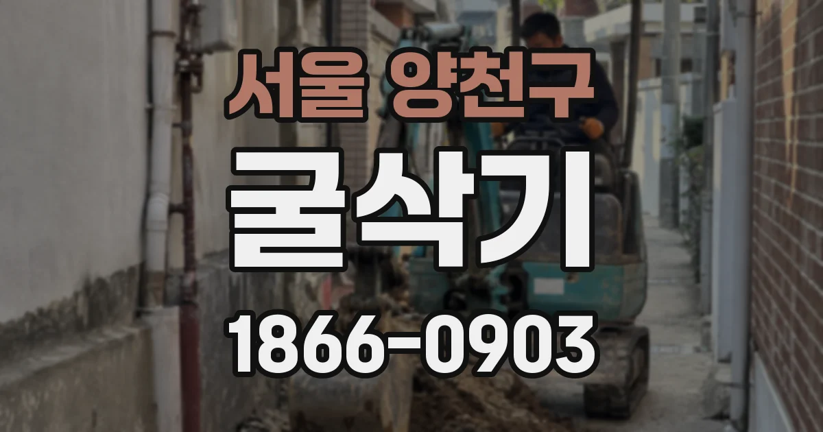 서울 양천구 굴삭기