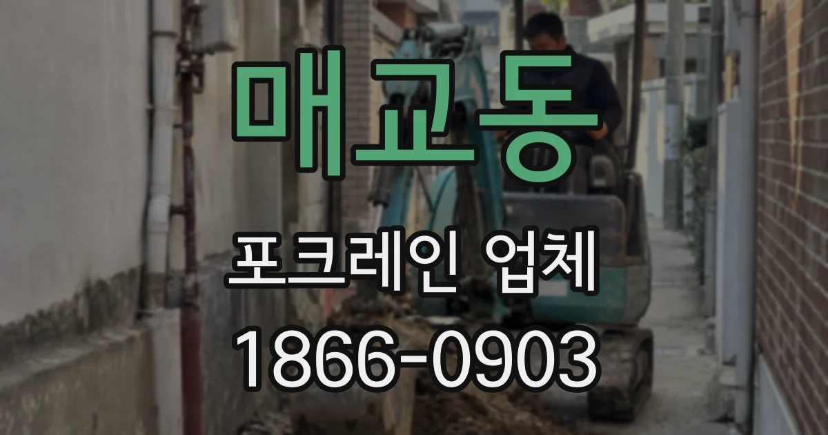 매교동 포크레인 업체