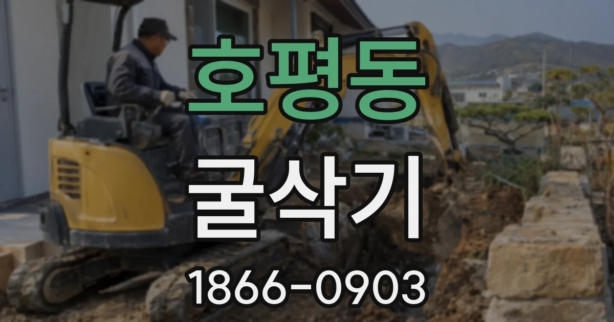 호평동 굴삭기
