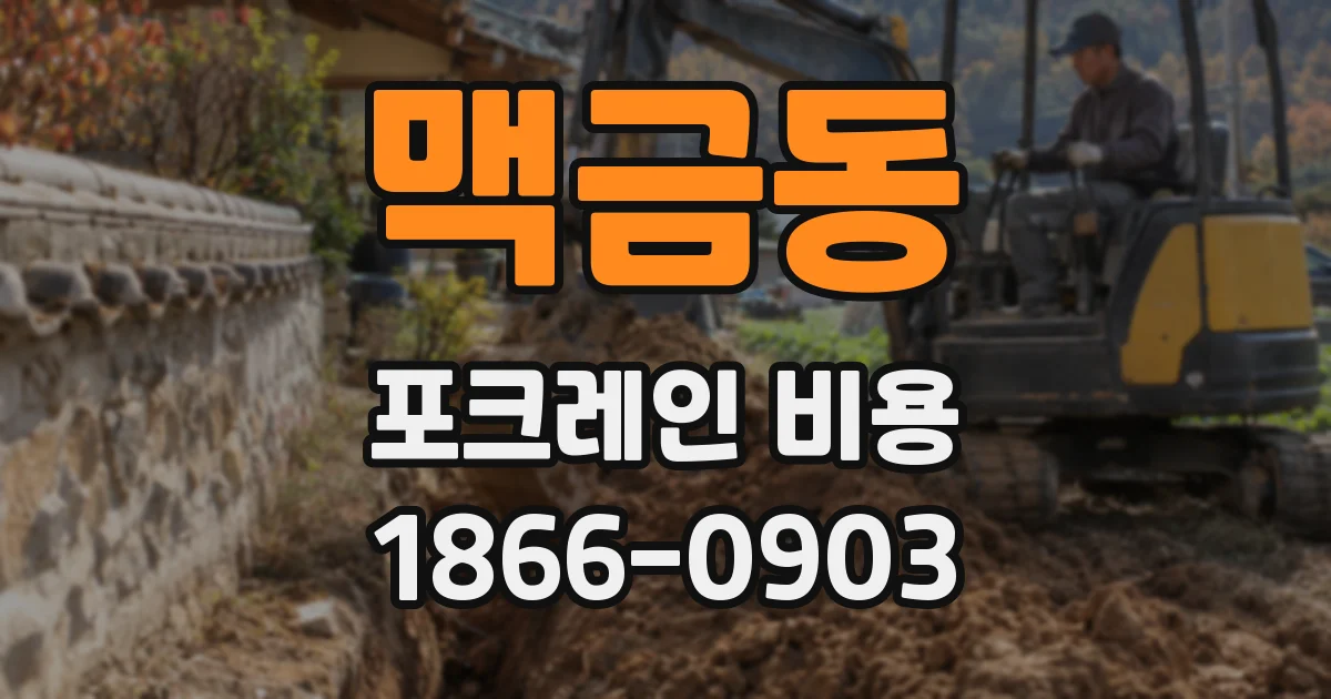 맥금동 포크레인 비용