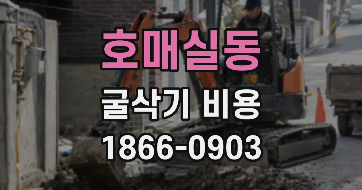 호매실동 굴삭기 비용