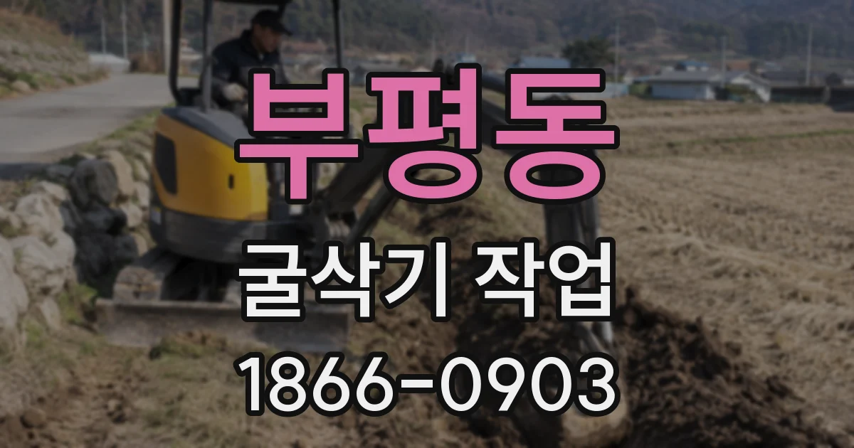 부평동 굴삭기 작업