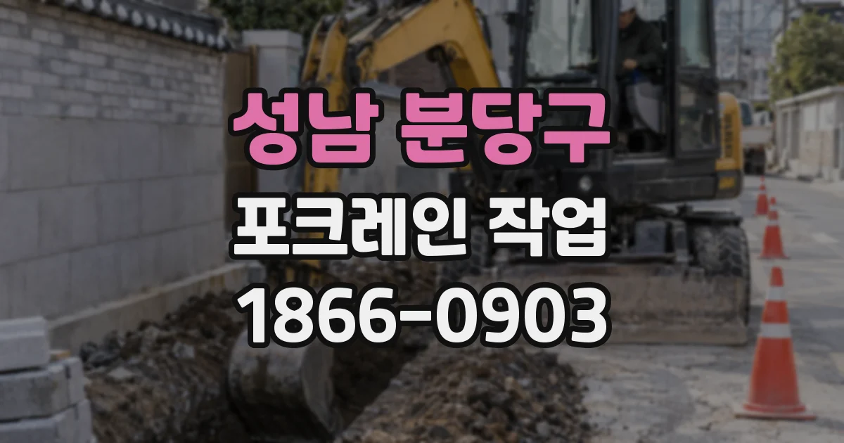 성남 분당구 포크레인 작업