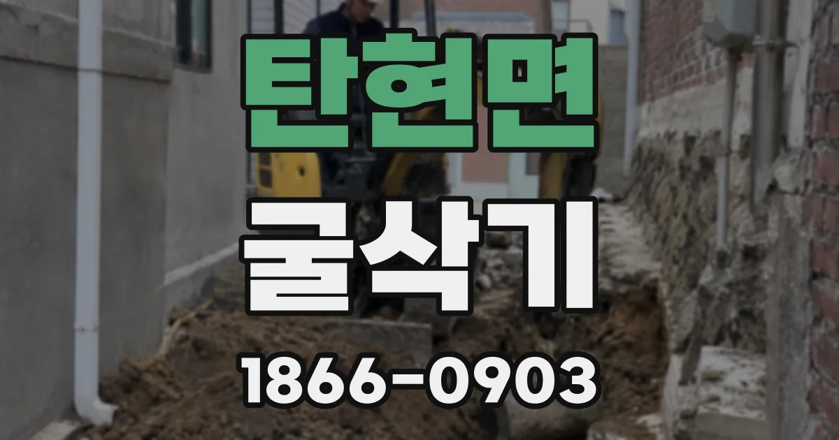탄현면 굴삭기