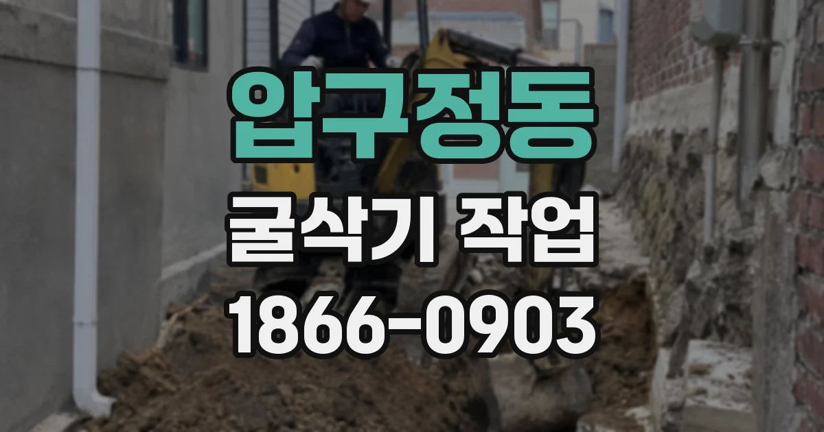 압구정동 굴삭기 작업