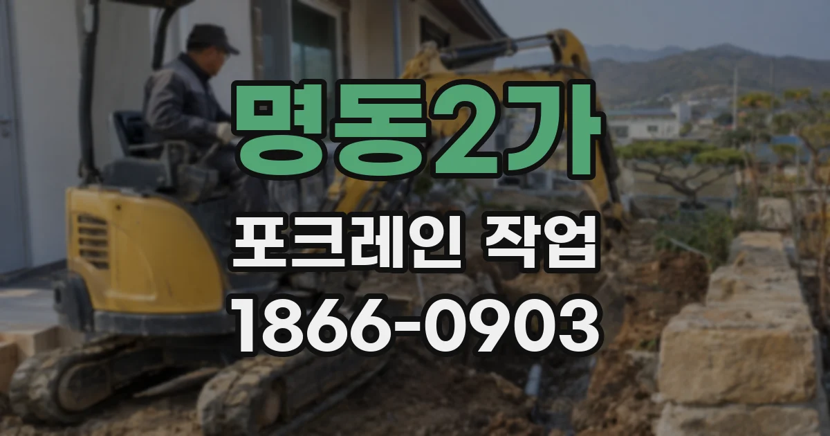 명동2가 포크레인 작업