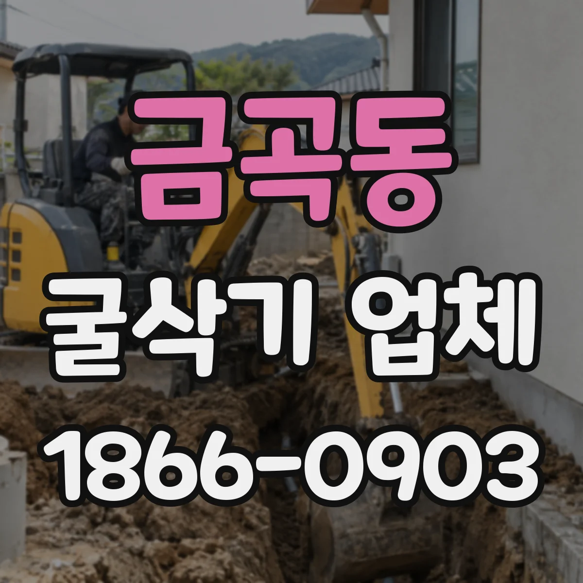 금곡동 굴삭기 업체