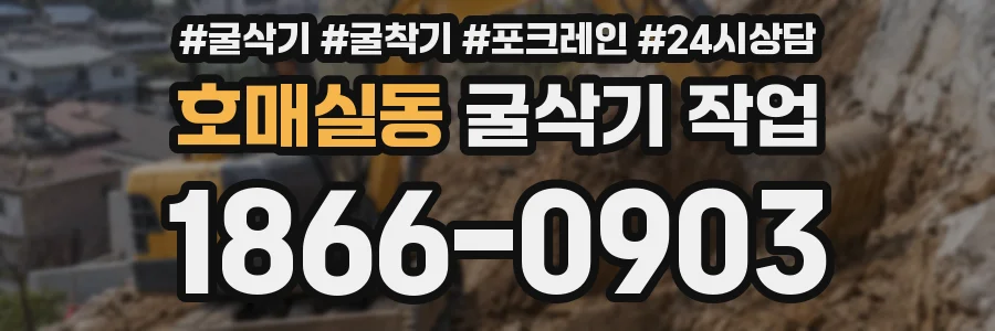 호매실동 굴삭기 작업