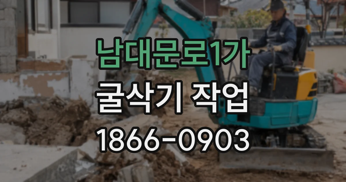 남대문로1가 굴삭기 작업