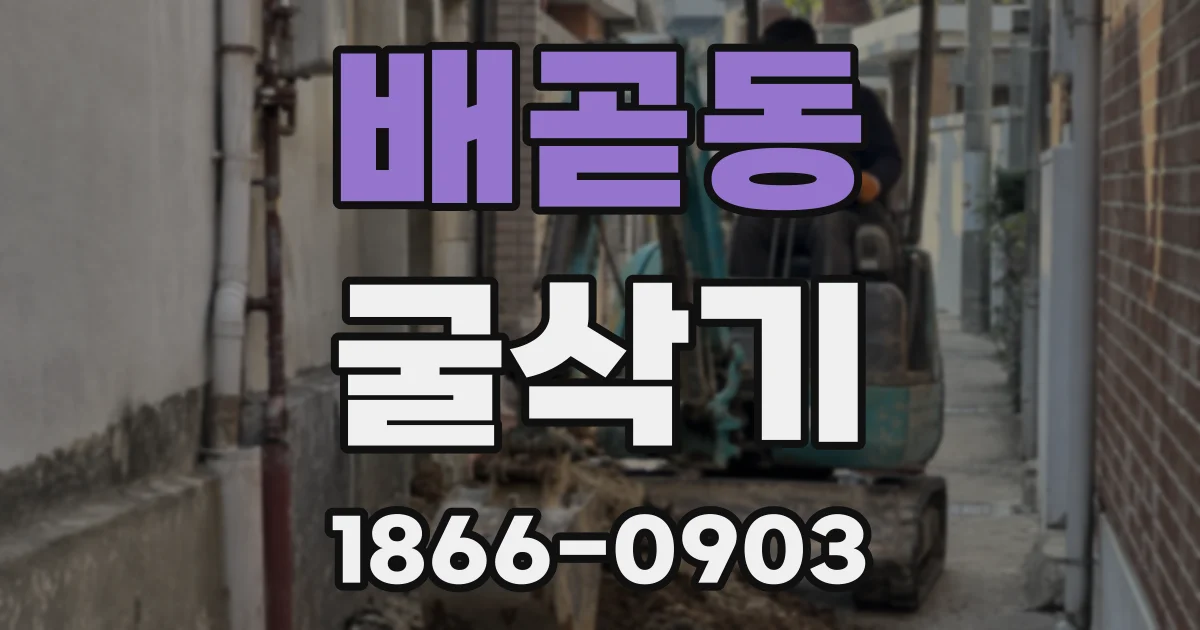 배곧동 굴삭기