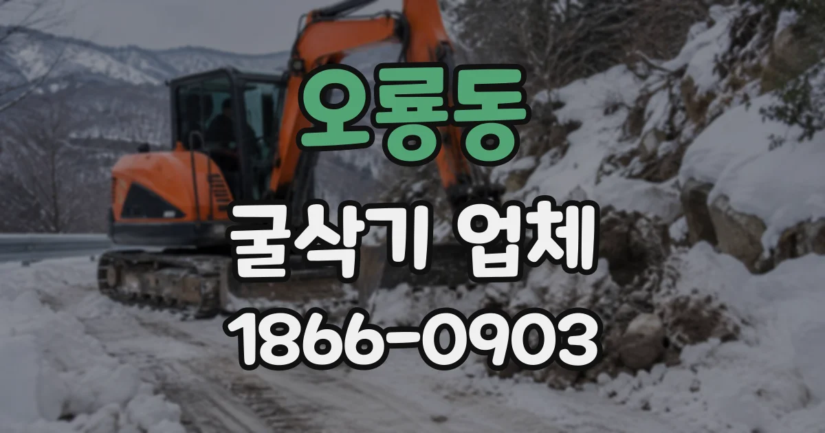 오룡동 굴삭기업체