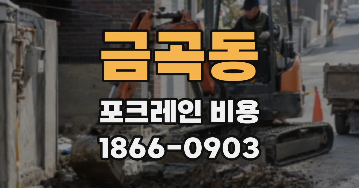 금곡동 포크레인 비용