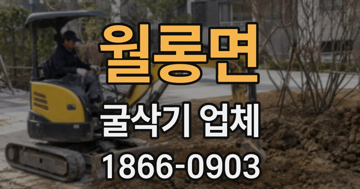 월롱면 굴삭기 업체