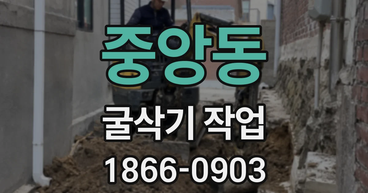 중앙동 굴삭기 작업