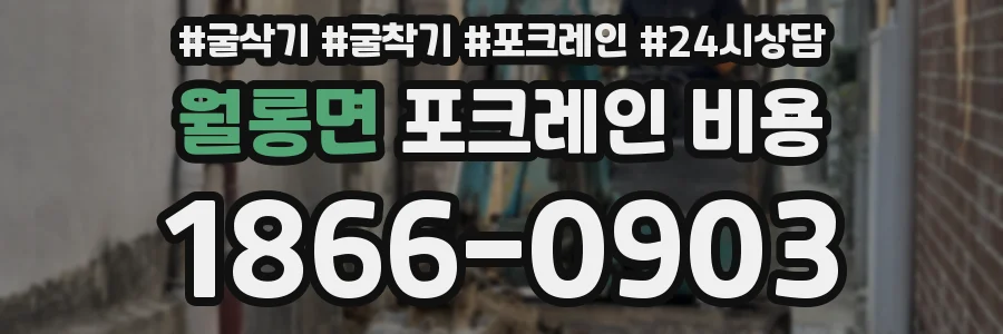 월롱면 포크레인 비용