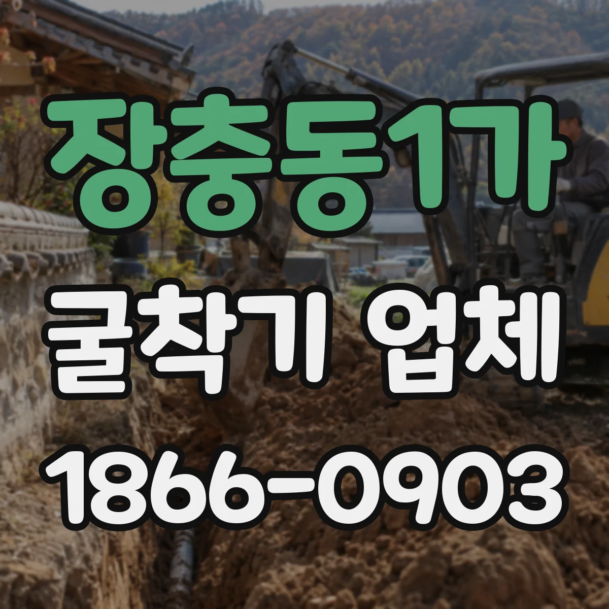 장충동1가 굴착기 업체