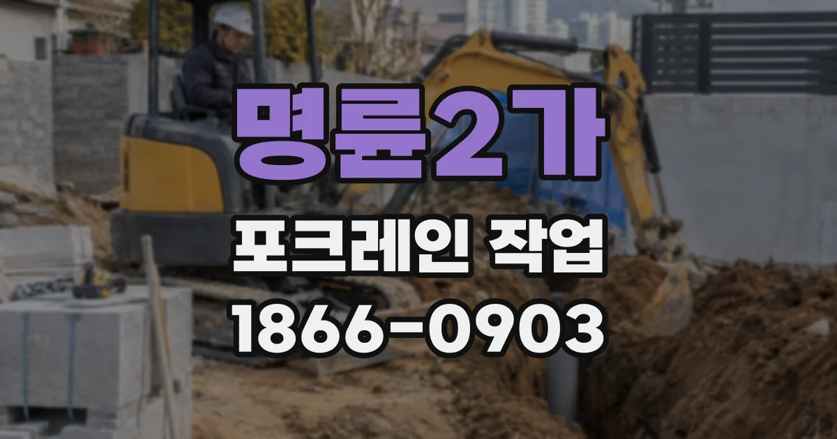 명륜2가 포크레인 작업