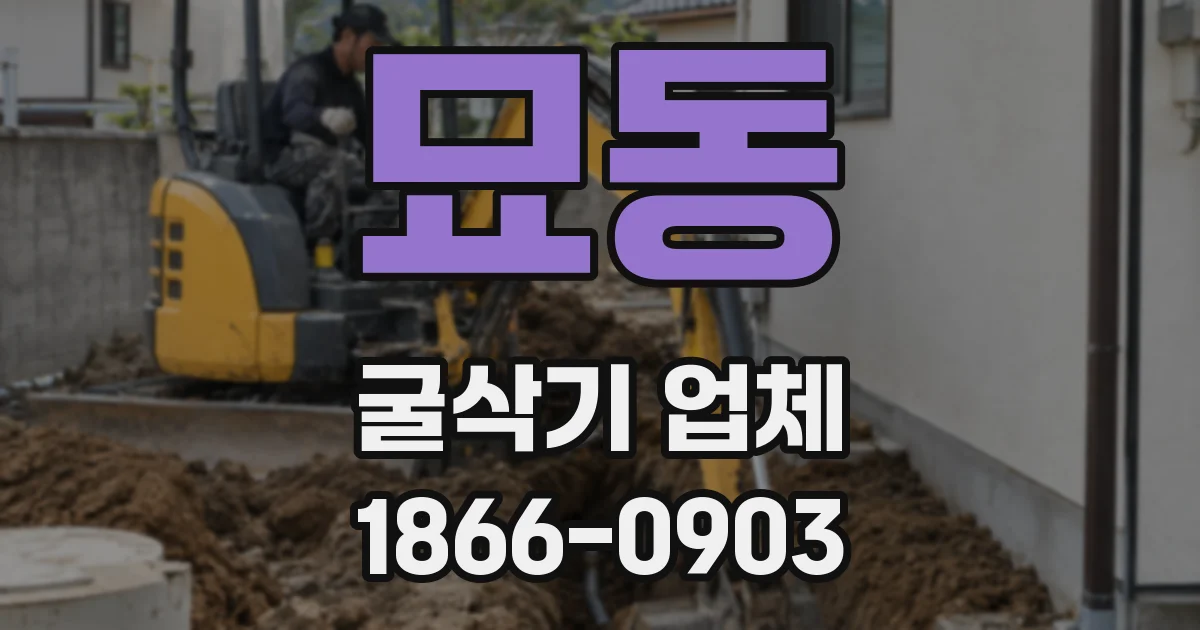 묘동 굴삭기 업체