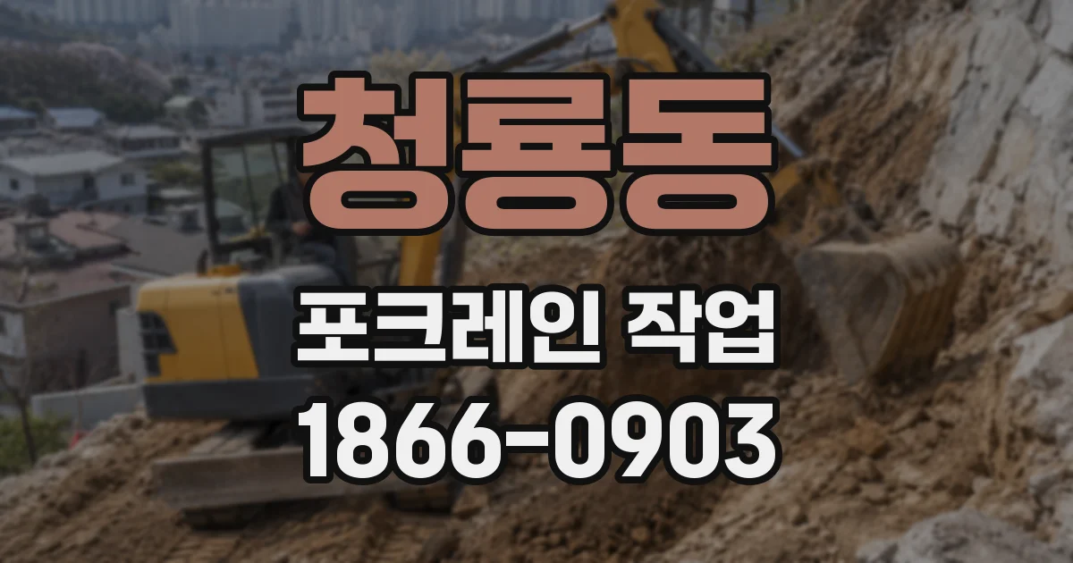 청룡동 포크레인 작업