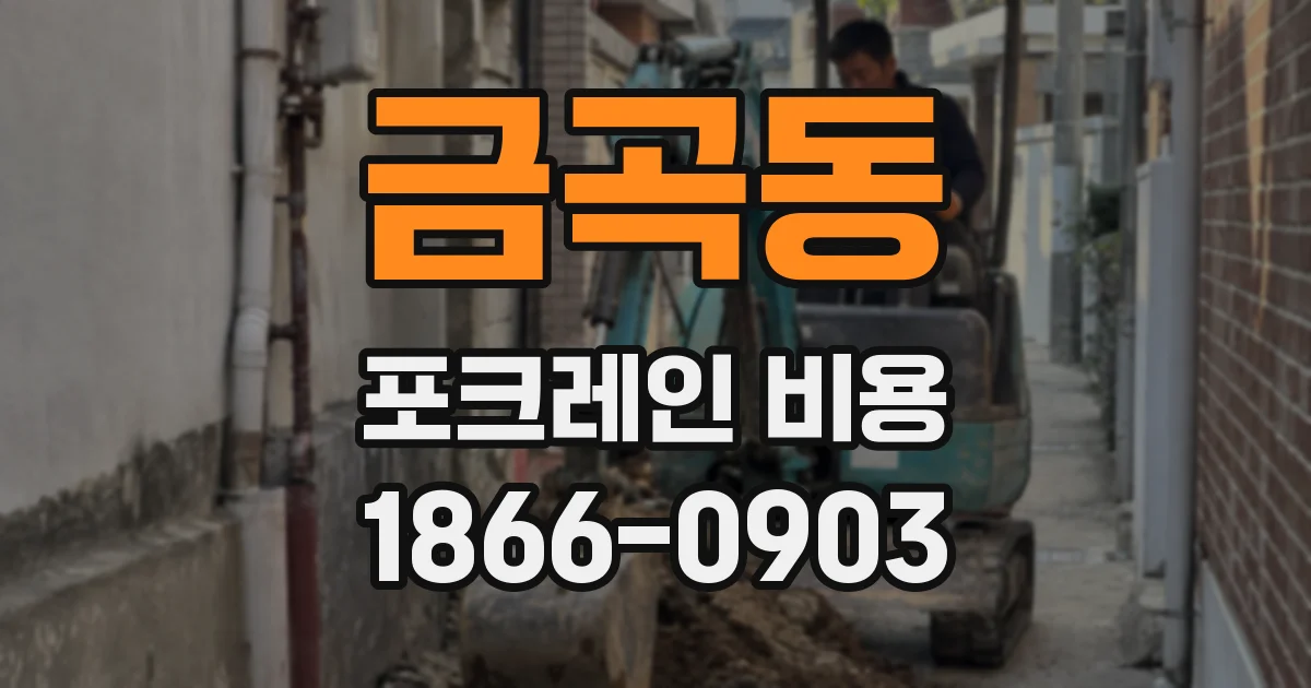 금곡동 포크레인 비용