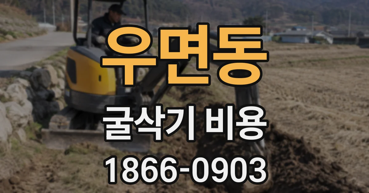 우면동 굴삭기 비용