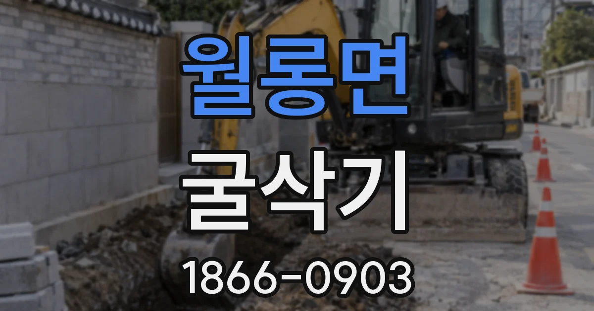월롱면 굴삭기