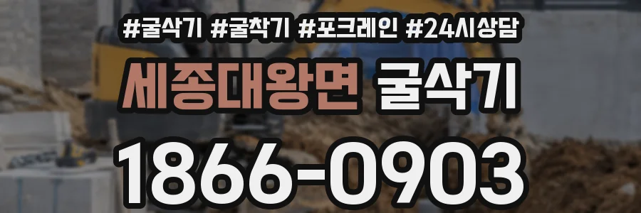 세종대왕면 굴삭기