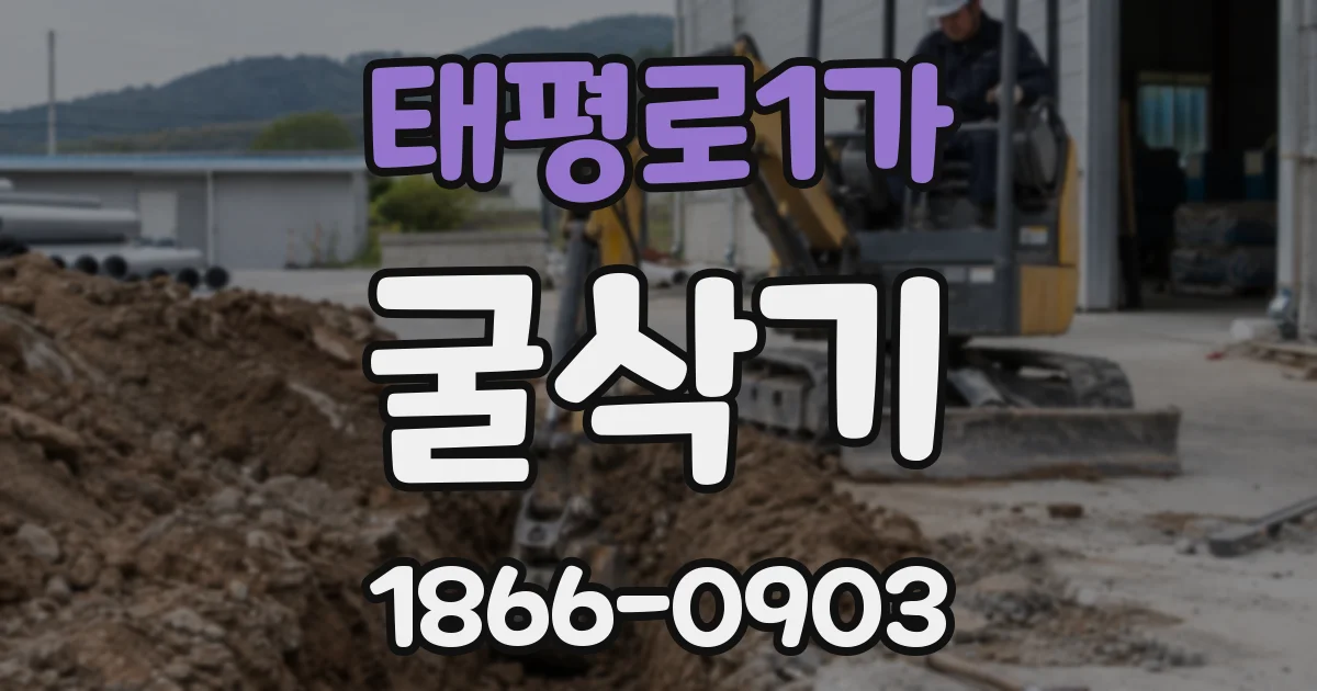 태평로1가 굴삭기