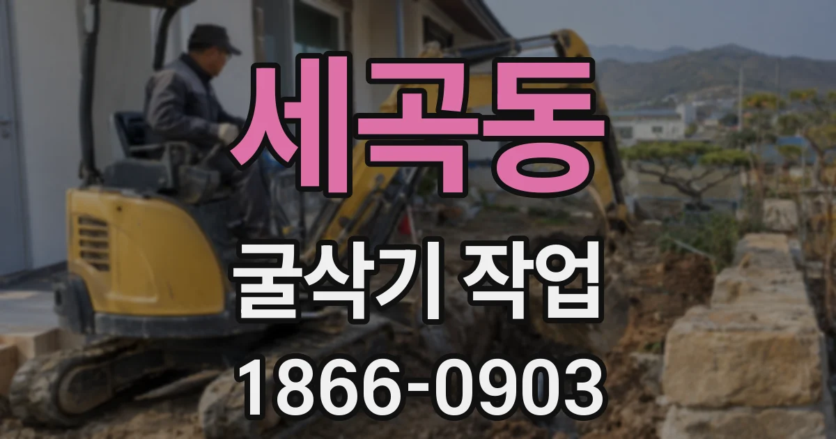 세곡동 굴삭기 작업
