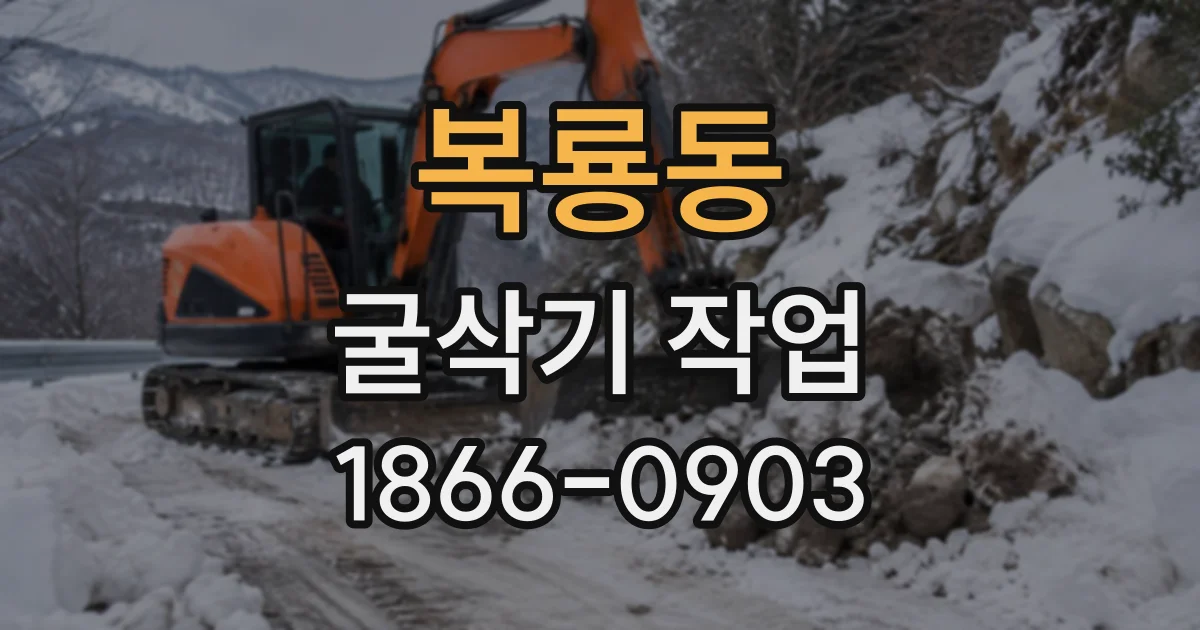 복룡동 굴삭기작업