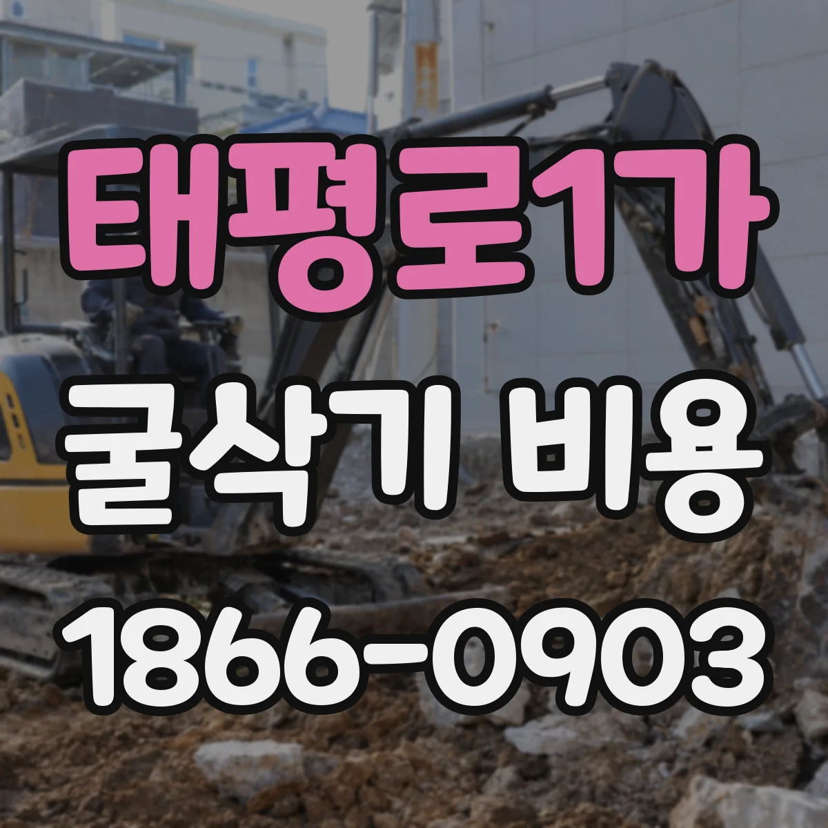 태평로1가 굴삭기 비용