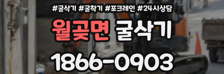 월곶면 굴삭기