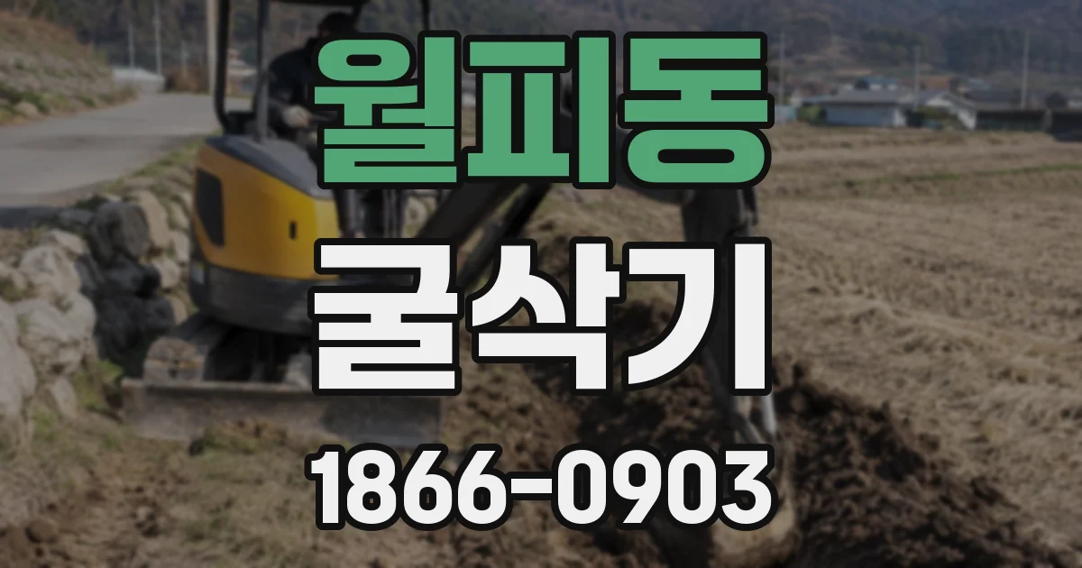 월피동 굴삭기