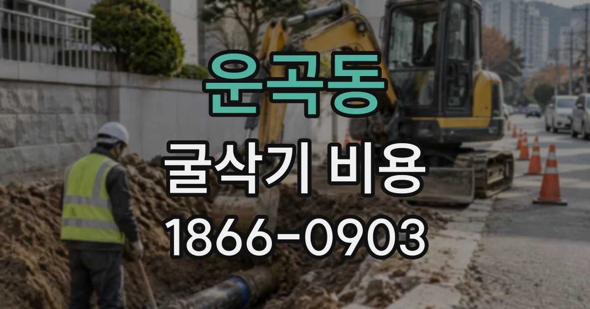 운곡동 굴삭기비용