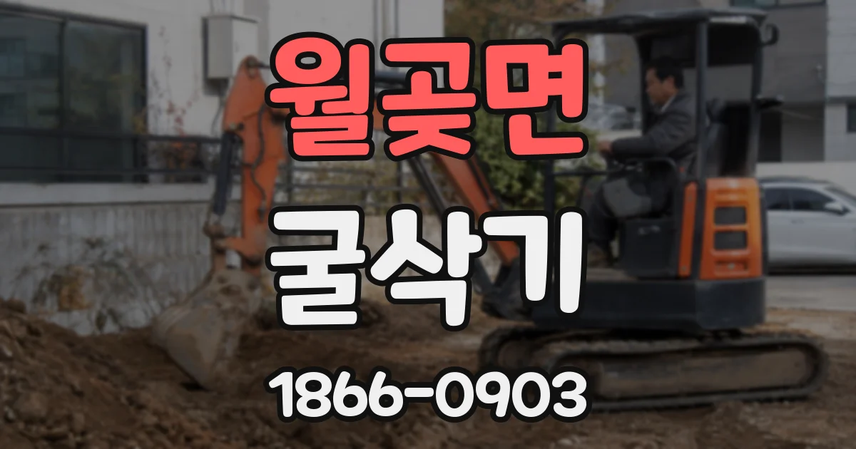 월곶면 굴삭기