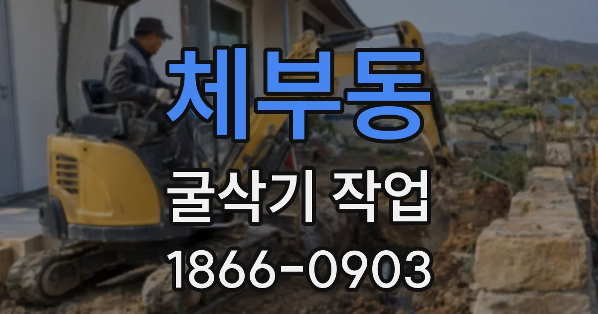 체부동 굴삭기 작업